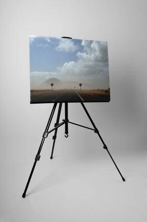 Tablou canvas : Furtuna de vant [2]