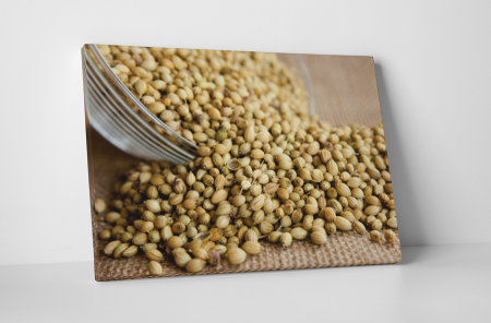Gastronomie - Tablou canvas : Fistic