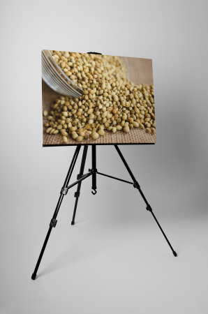 Tablou canvas : Fistic [2]