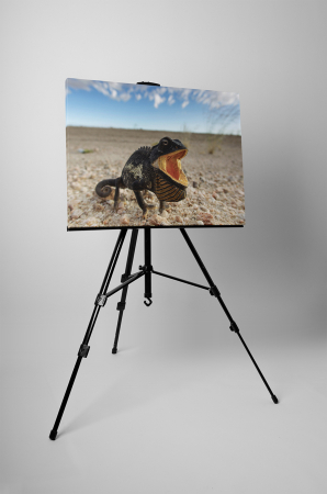 Tablou canvas : Cameleonul flamand [2]