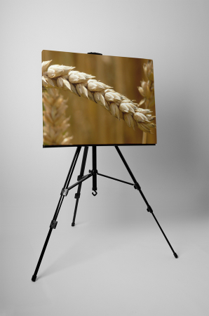 Tablou canvas : Grau copt [2]