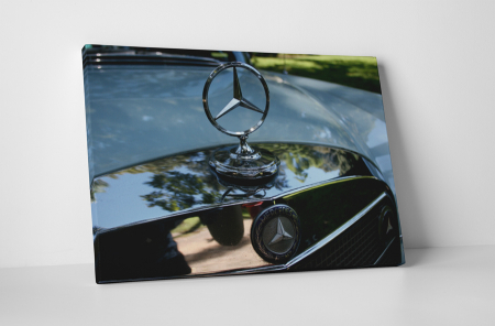 Vehicule - Tablou canvas : Sigla Mercedes