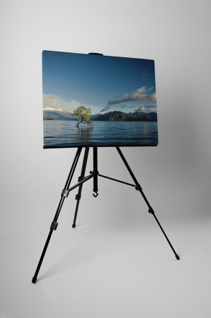 Tablou canvas : Copacul singuratic [2]