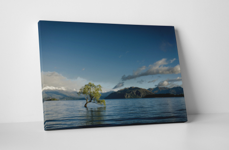Peisaje - Tablou canvas : Copacul singuratic