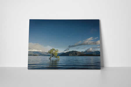 Tablou canvas : Copacul singuratic [1]