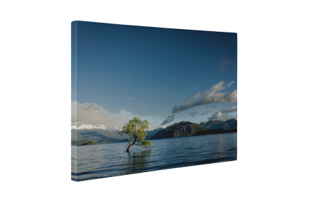 Tablou canvas : Copacul singuratic [4]