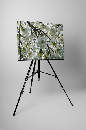 Tablou canvas : Mar inflorit [2]