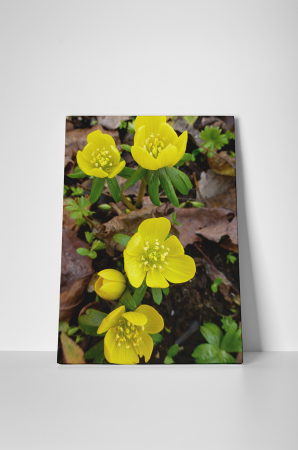Tablou canvas : Flori marunte galbene [1]
