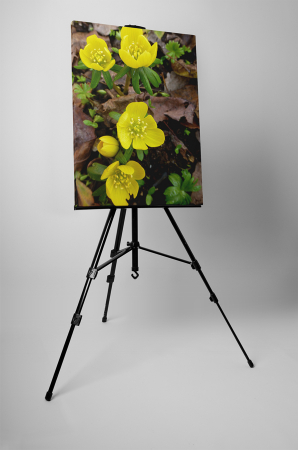 Tablou canvas : Flori marunte galbene [2]