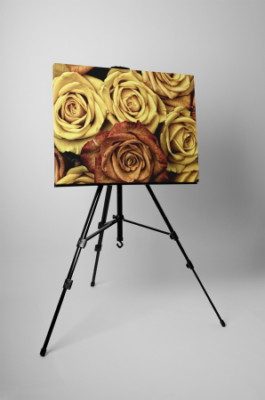 Tablou canvas : Trandafiri colorate [2]