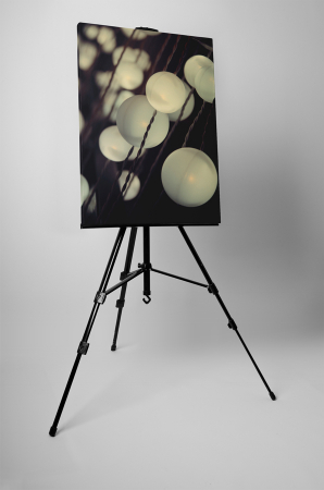Tablou canvas : Globuri albe [2]
