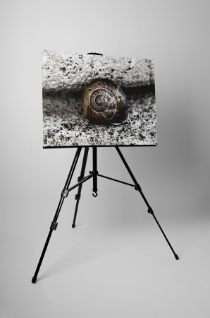 Tablou canvas : Melcusor [2]