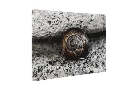 Tablou canvas : Melcusor [4]