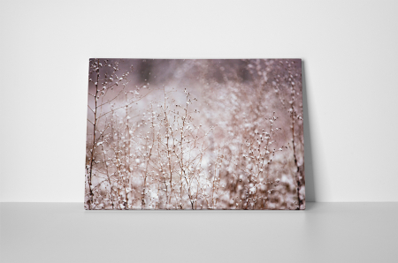 Tablou canvas : Peisaj de iarna [1]
