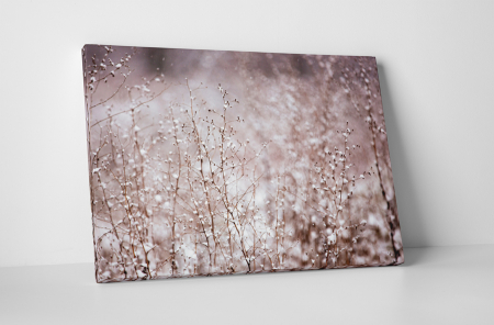 Peisaje - Tablou canvas : Peisaj de iarna