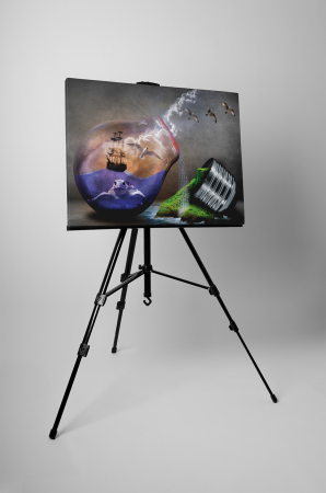 Tablou canvas : Lumea abstracta [2]