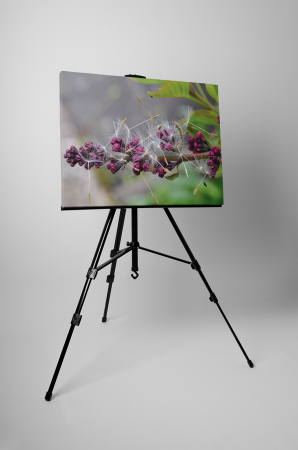 Tablou canvas : Liliac si papadie [2]