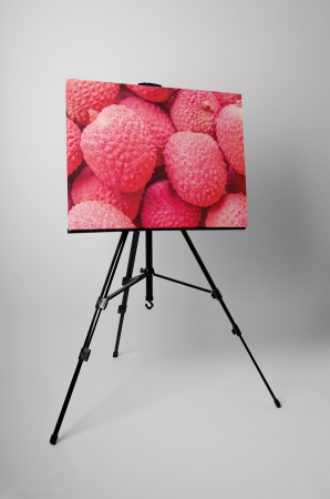 Tablou canvas : Lici [2]