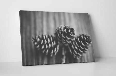 Alb-negru - Tablou canvas : Conuri