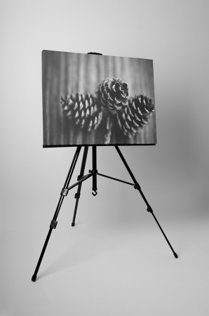 Tablou canvas : Conuri [2]