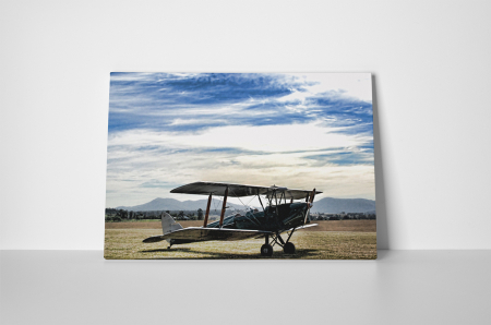 Tablou canvas : Avion vechi [1]