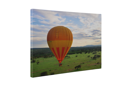 Tablou canvas : Deasupra savanei [4]