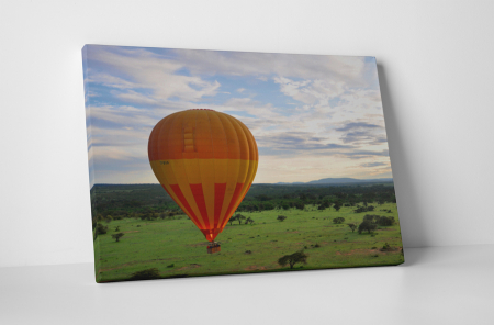 Tablouri Canvas - Tablou canvas : Deasupra savanei