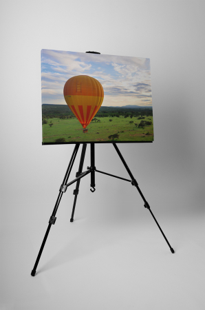 Tablou canvas : Deasupra savanei [2]