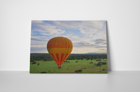 Tablou canvas : Deasupra savanei [1]