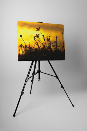 Tablou canvas : Apus de soare pe camp [2]