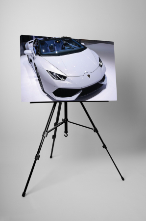 Tablou canvas : Lamborghini alb [2]