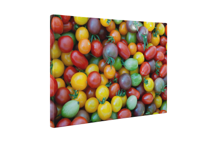 Tablou canvas : Rosii colorate [4]