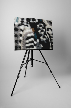 Tablou canvas : Perii [2]