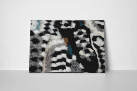 Tablou canvas : Perii [1]