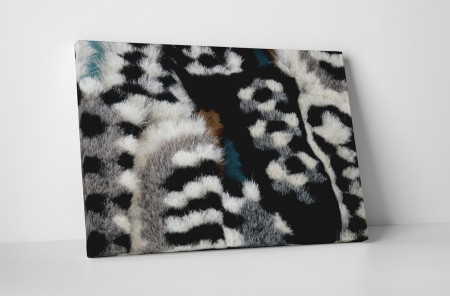 Tablouri Canvas - Tablou canvas : Perii