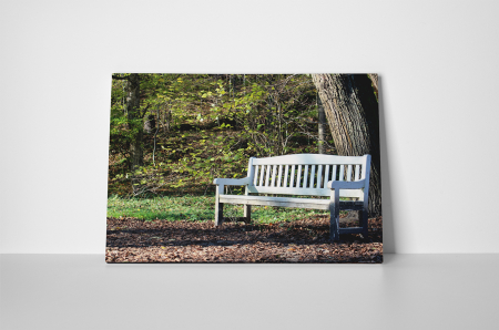Tablou canvas : Odihna in padure [1]