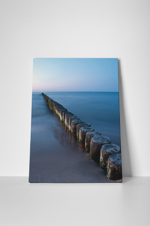 Tablou canvas : Lemne in apa [1]