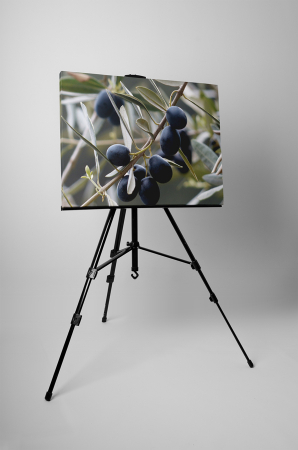 Tablou canvas : Masline [2]