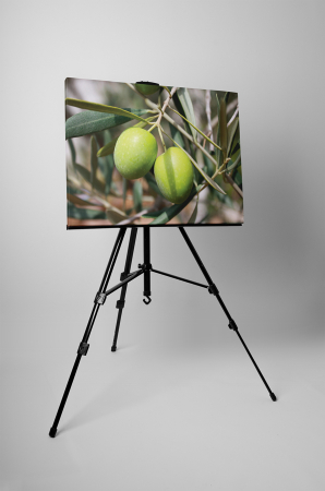 Tablou canvas : Masline verzi [1]