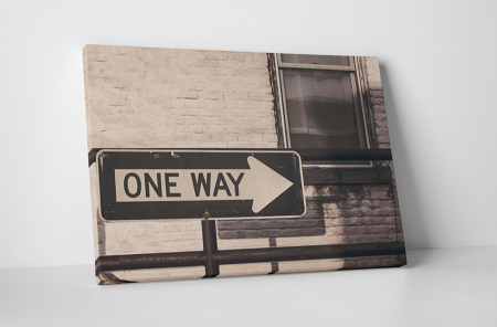 Tablouri Canvas - Tablou canvas : One way