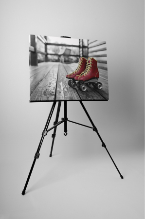 Tablou canvas : Role retro [2]