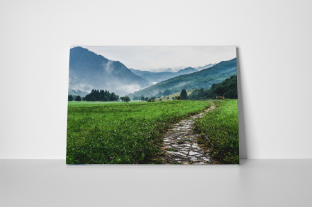 Tablouri Canvas - Tablou canvas : Peisaj