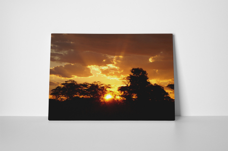 Tablou canvas : Soarele apune [1]