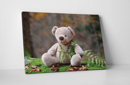 Copii - Tablou canvas : Teddy bear