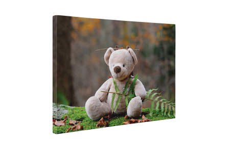 Tablou canvas : Teddy bear [4]