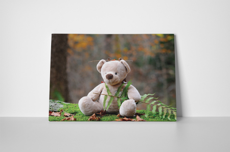 Tablou canvas : Teddy bear [1]