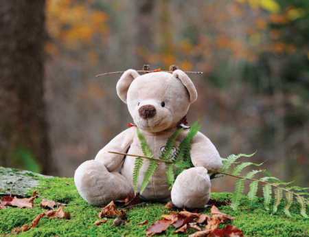 Tablou canvas : Teddy bear [3]