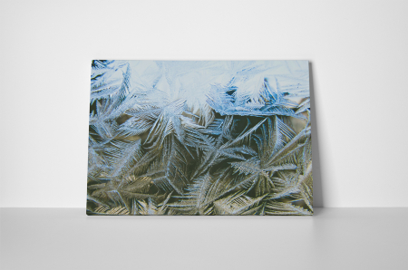 Tablou canvas : Flori de gheata [1]