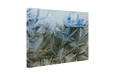 Tablou canvas : Flori de gheata [4]