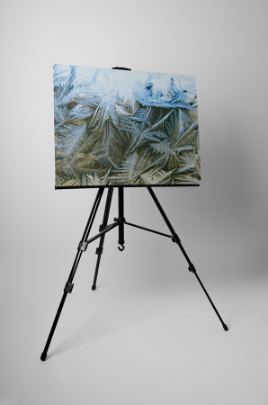 Tablou canvas : Flori de gheata [2]